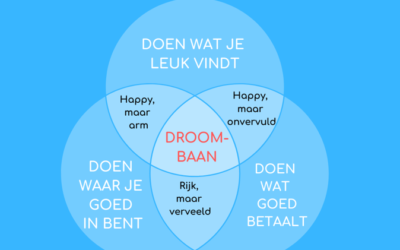 Blog 2: Denk na over wat jouw ideale baan is en welke stappen je kunt zetten